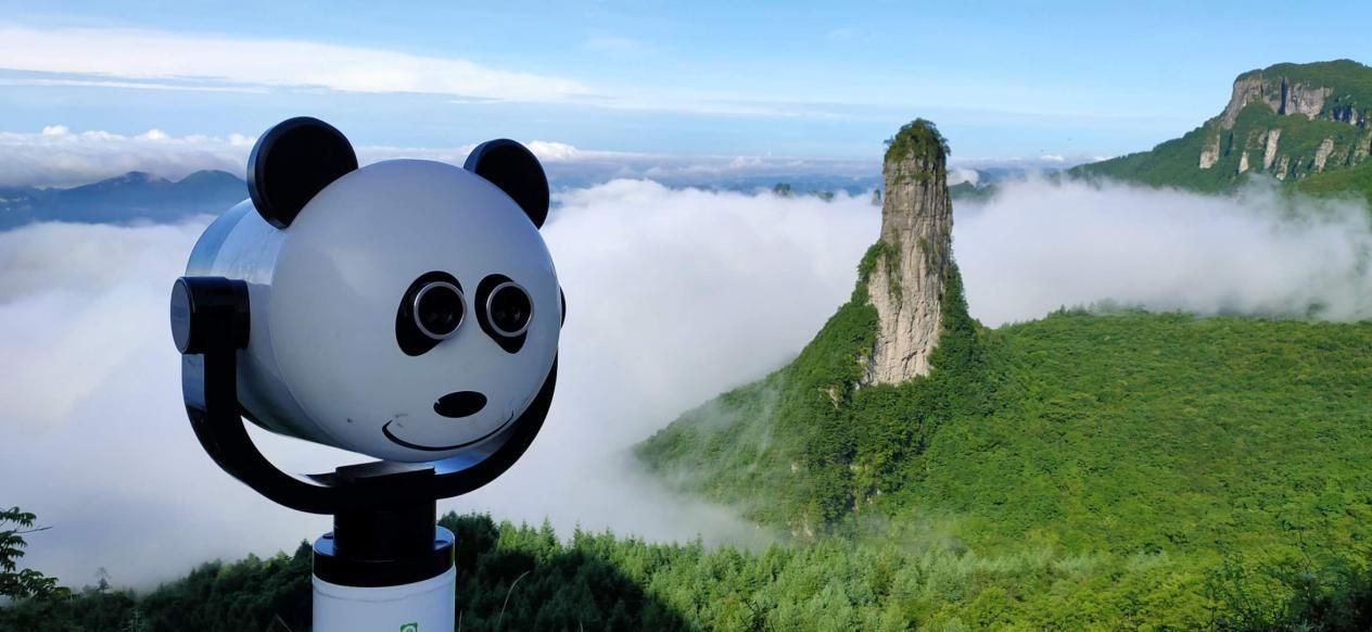 广东景区望远镜厂家怎么选,金华真实望远镜厂家