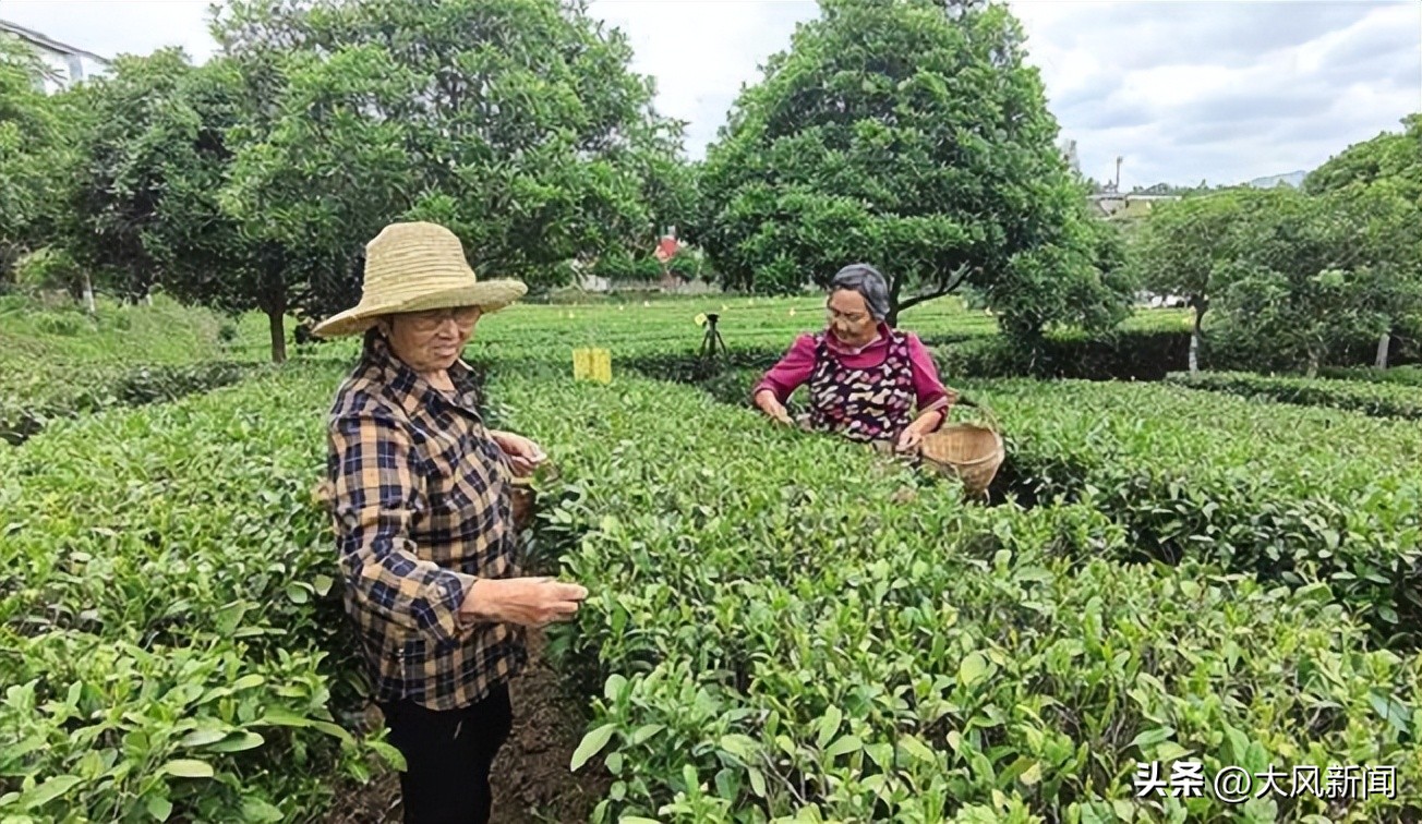 涓濊矾瀵硅瘽鏁︾厡,涓濊矾瀵硅瘽