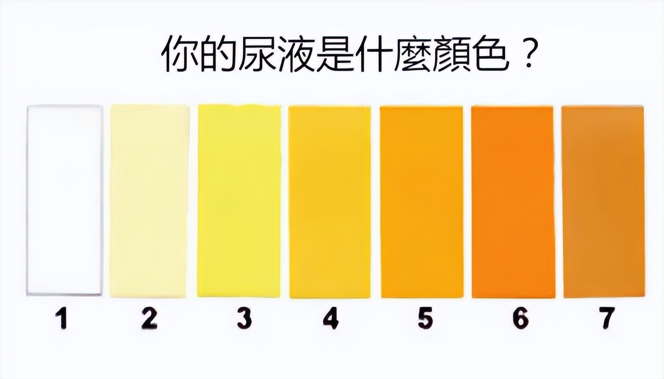 上午尿液颜色深下午尿液颜色无色,尿液颜色像菊花茶的颜色