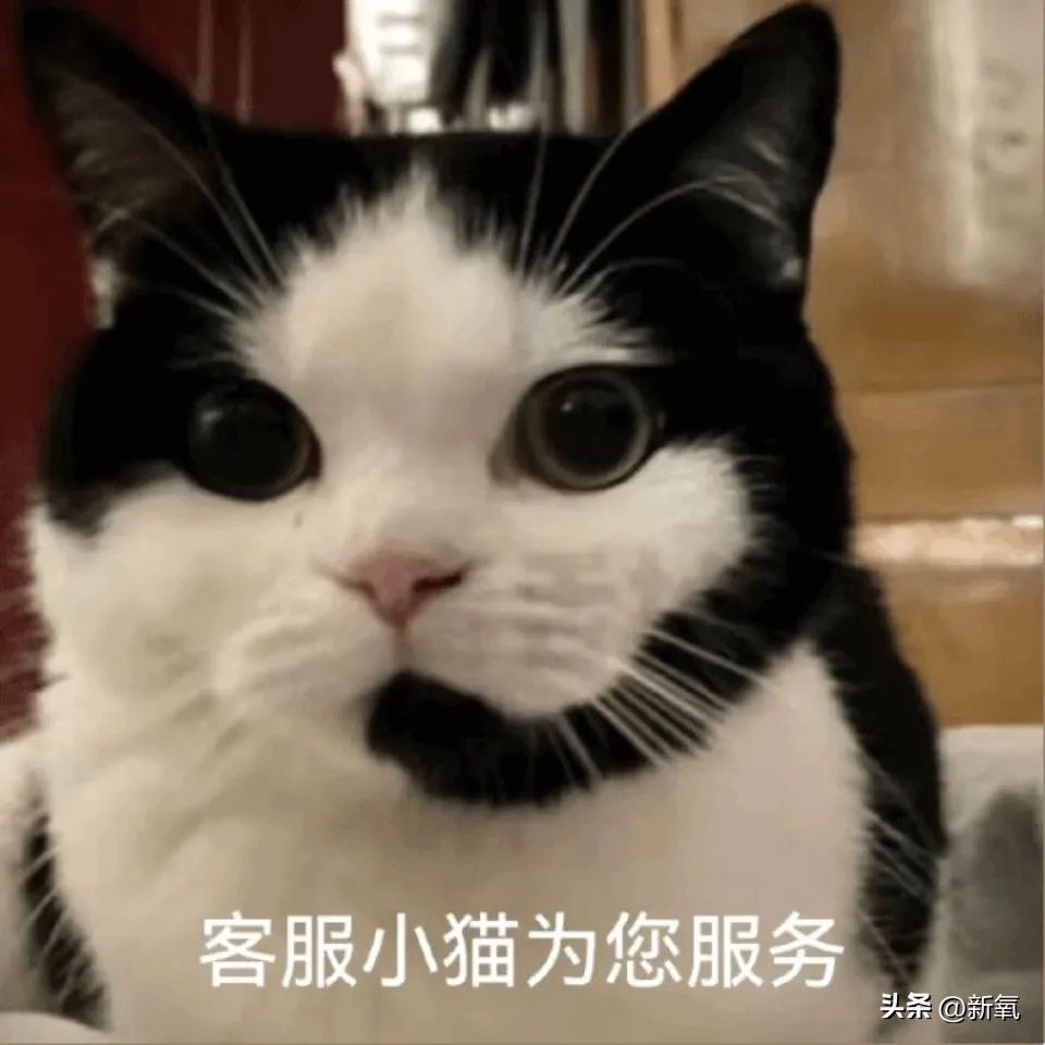 改一点赢很大？她整完鼻子直接美成断代神颜…