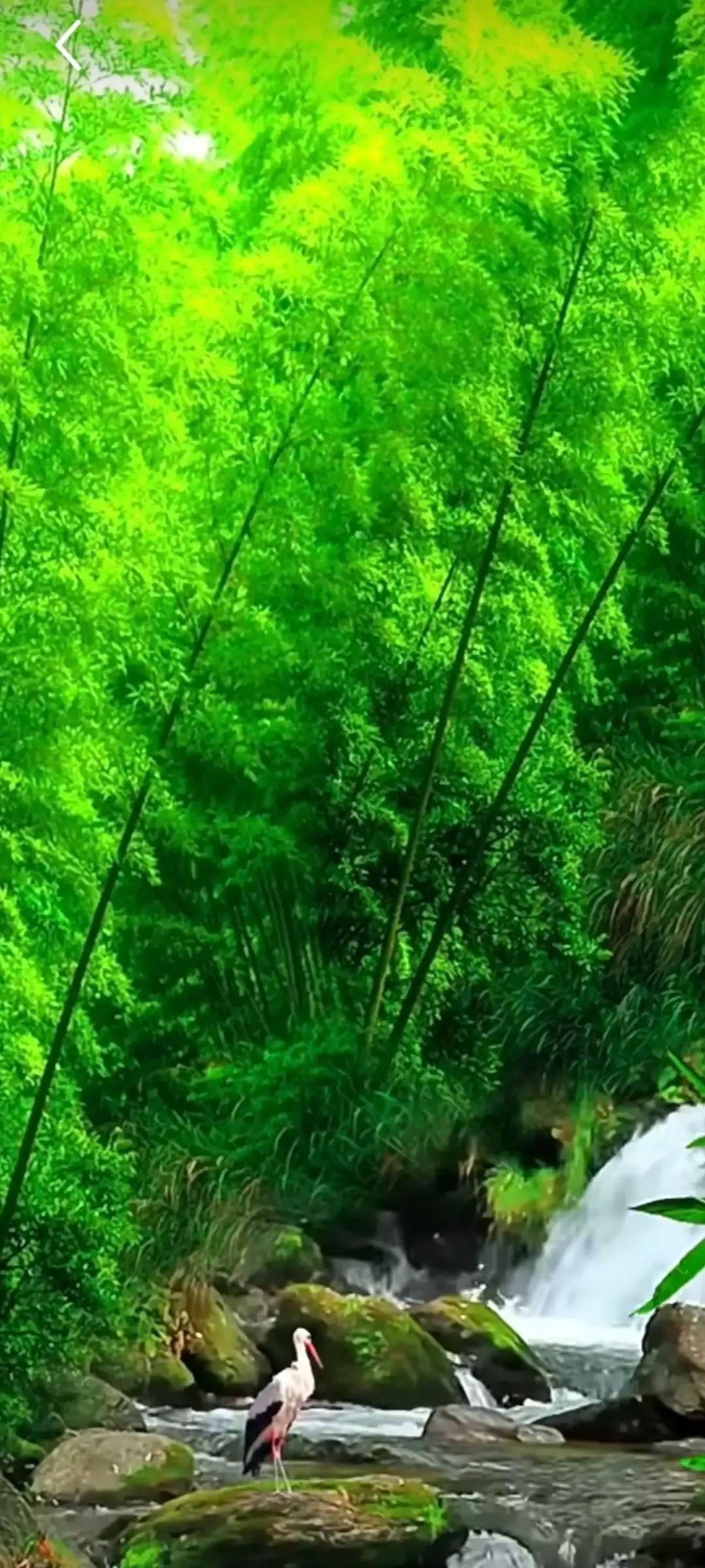 2023年农历是什么年癸卯年,2023年农历癸卯年是金兔年吗