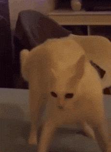 发错群信息怎么补救,信息发错群话术