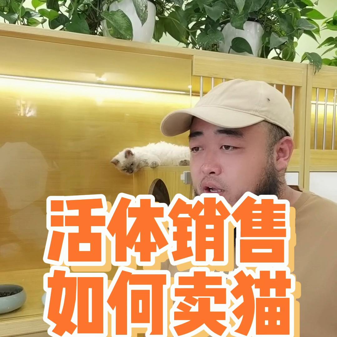简易说说如何选择合适的销售渠道,渠道销售的话术和技巧