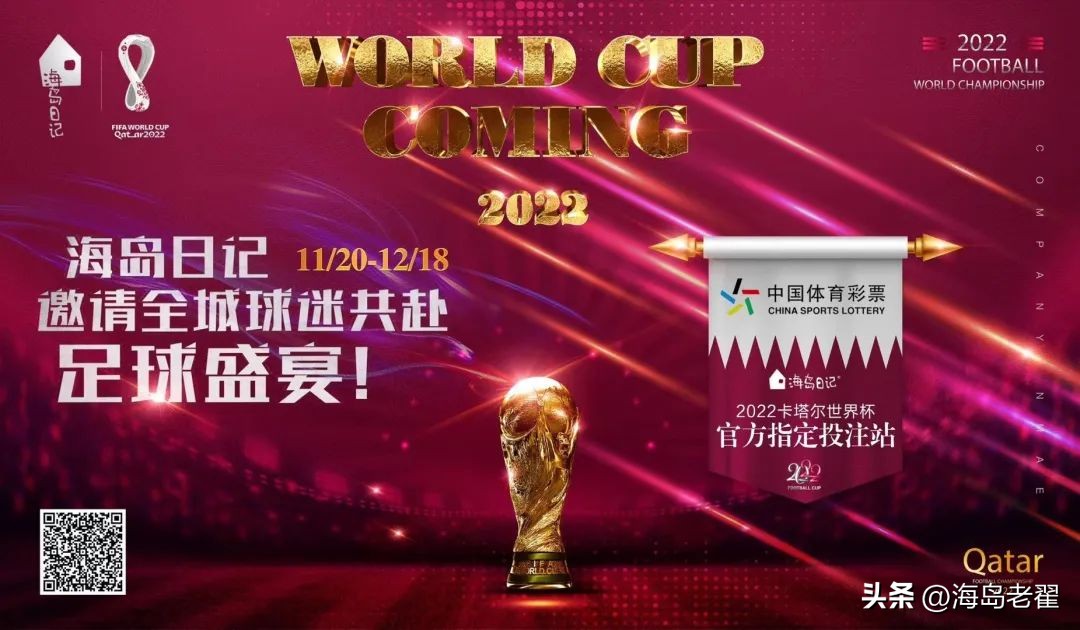 看世界杯日记,看世界杯记笔记