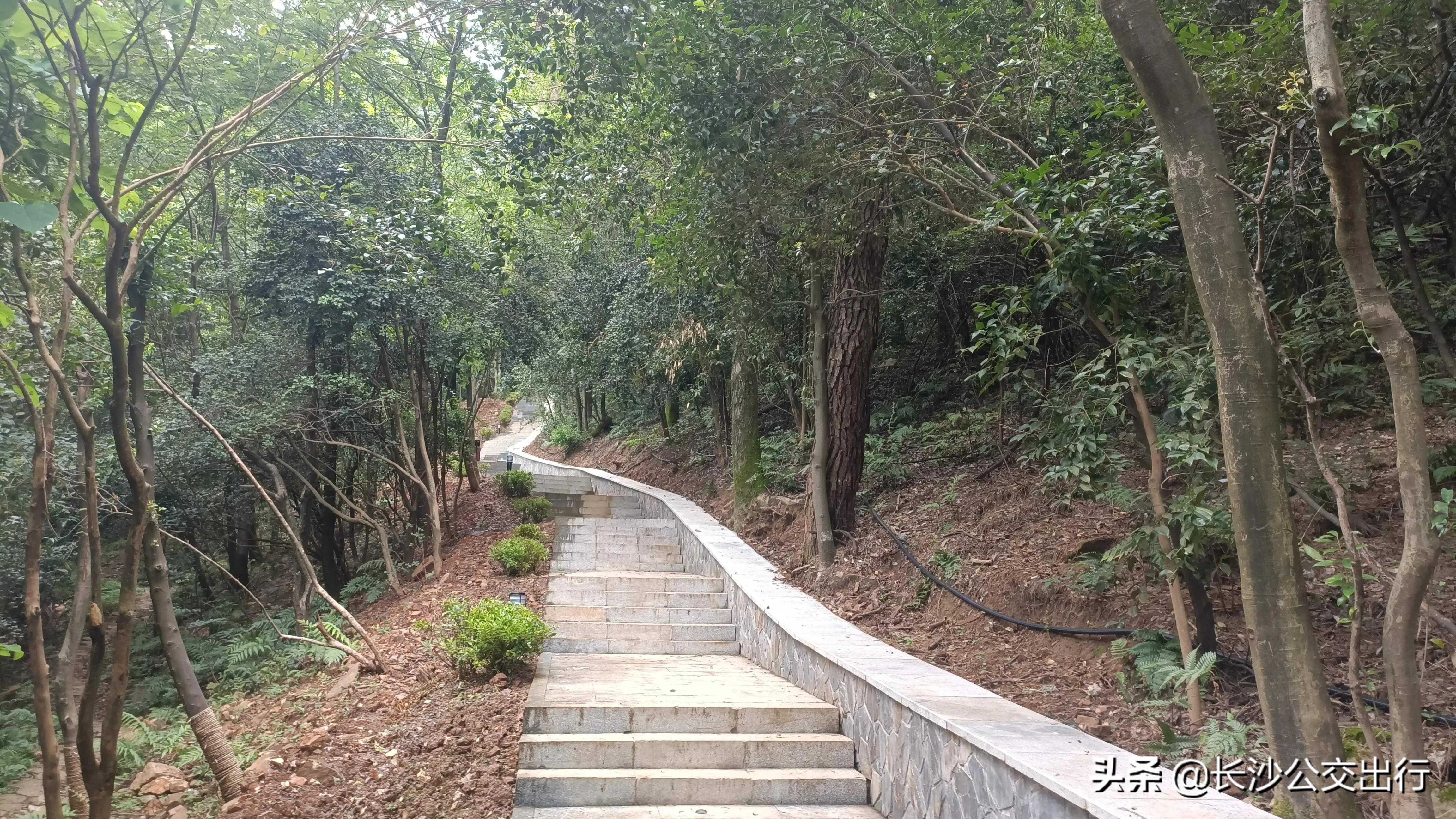 岳麓山从南门爬的攻略,岳麓山东门进南门出旅游攻略