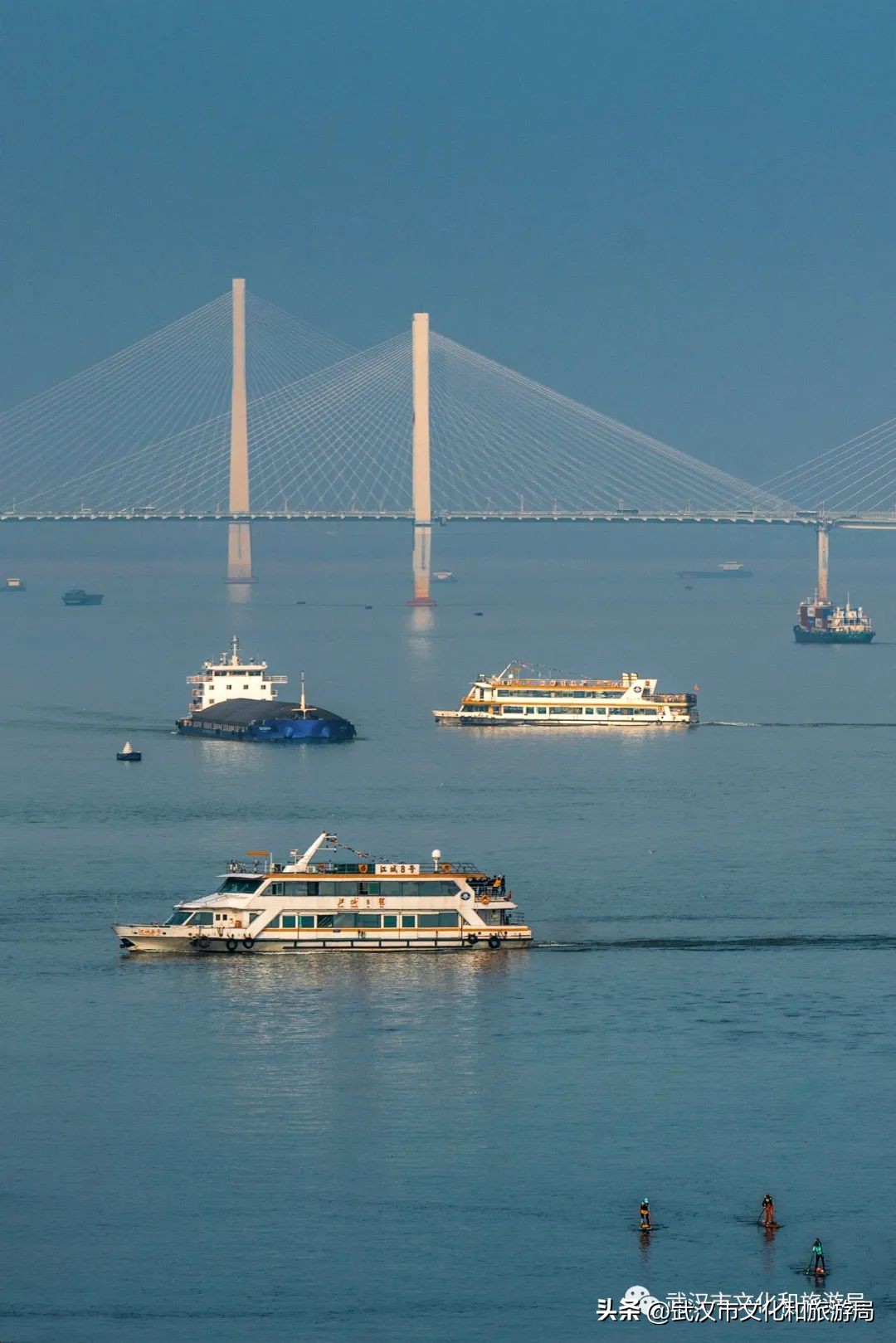 武汉不花钱看樱花地点,来武汉一定要看两坝一峡登黄鹤楼