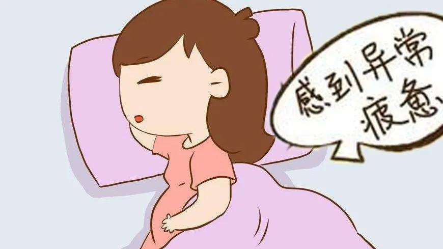 夫妻借了20万做试管婴儿,黑龙江夫妇借22万做试管