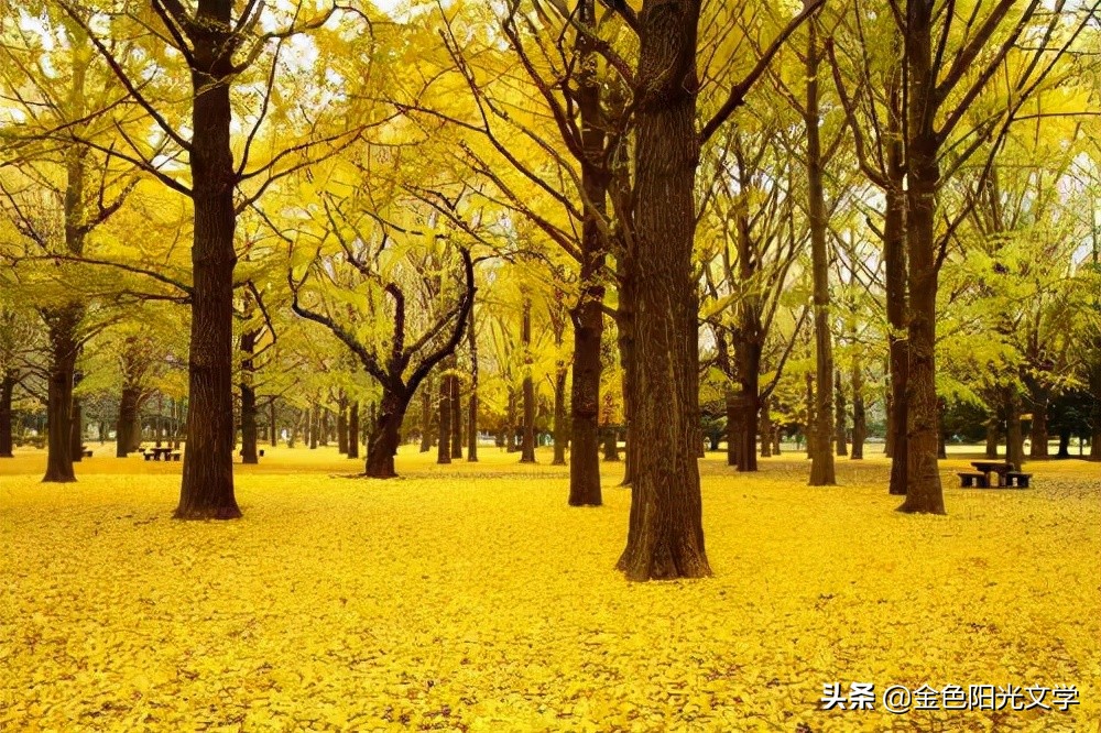 课间活动堆雪人,五年级堆雪人优质课