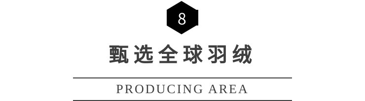 artdevie全国多少家店铺,artdevie专卖店