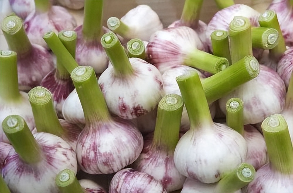 天天吃大蒜的人得到了什么,天天坚持吃大蒜的人