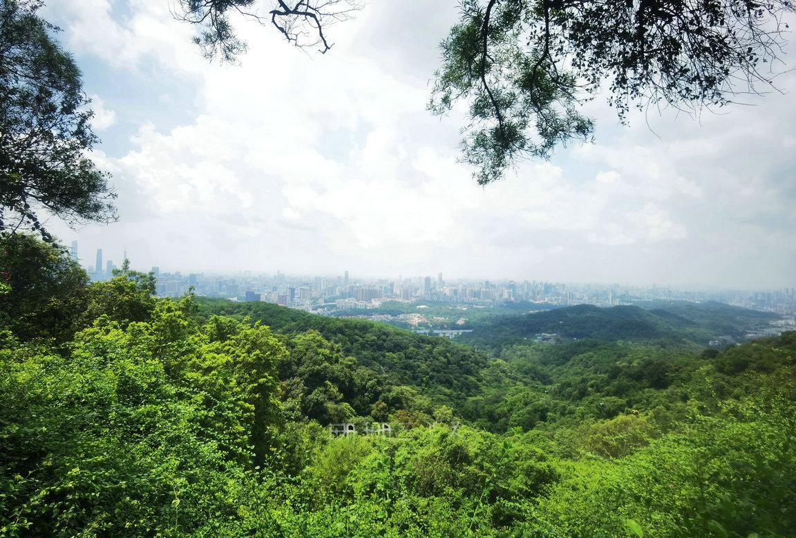 广州一日游最佳路线免费好玩景点,广州游玩景点一日游推荐路线