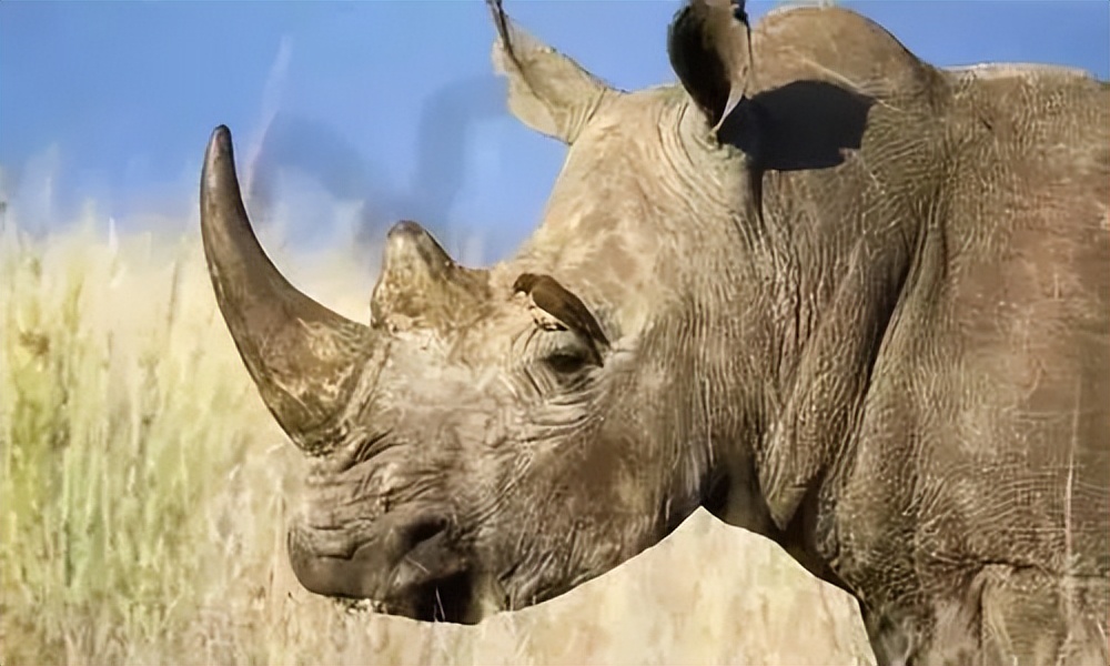 想买但没买违法吗,别买劣质产品的后果