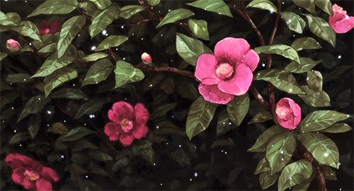 长明灯下念故人,长明灯纪念故人