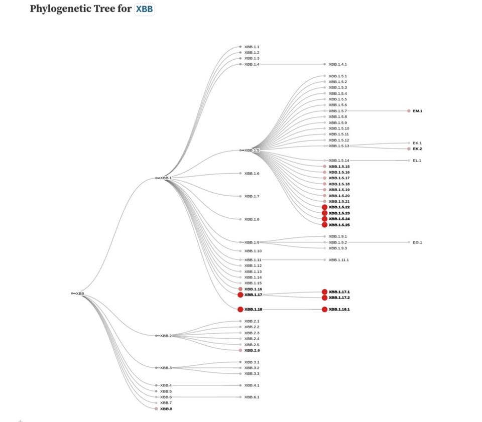 毒王大角星,大角星病毒最新消息