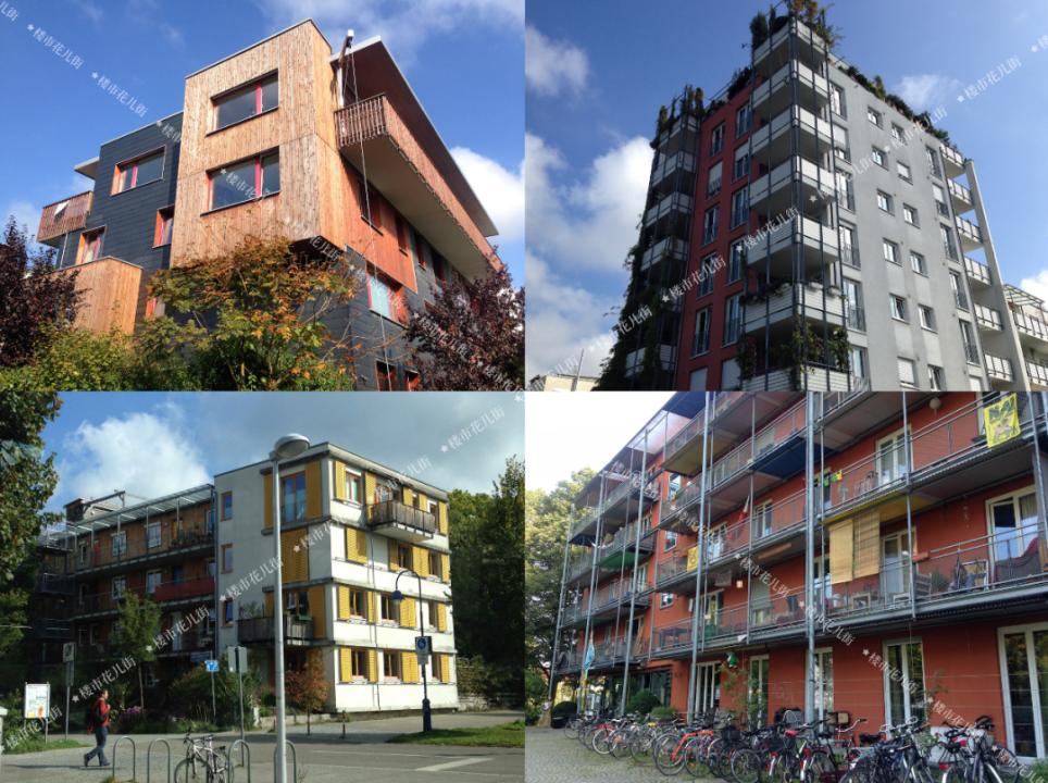 王石双碳社区,生物圈三号创始人王石