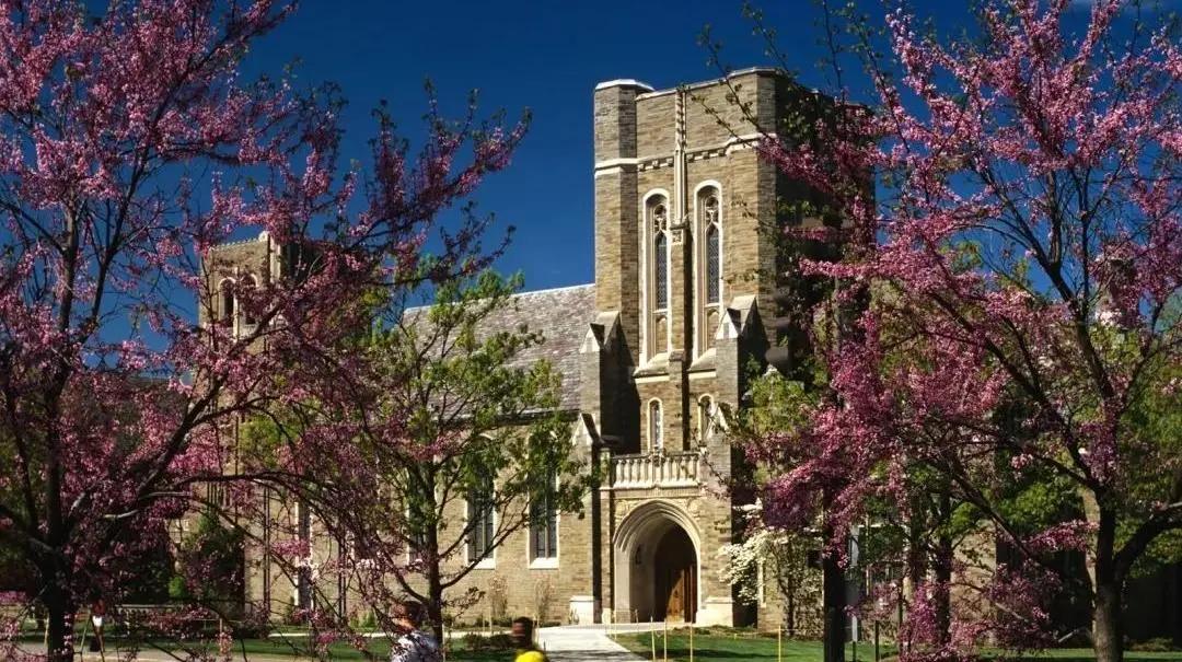 全球mba院校排名一览表,全球mba院校排名及费用