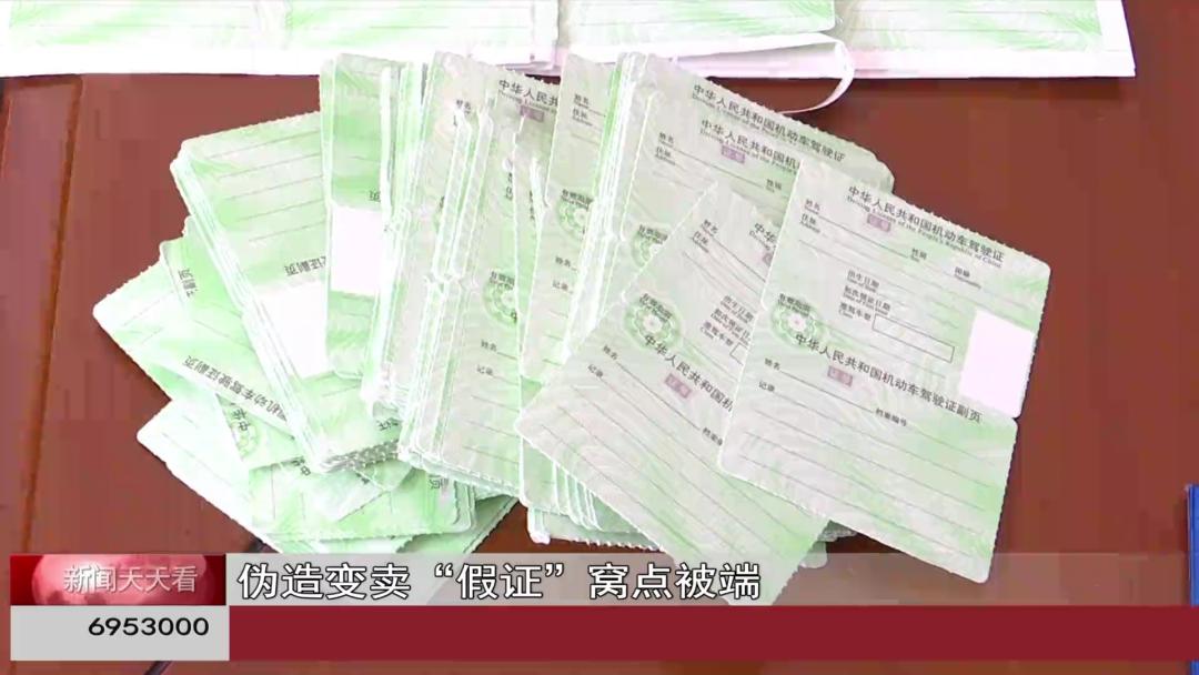 呼和浩特一男子7000元买驾照还帮亲戚朋友也办了