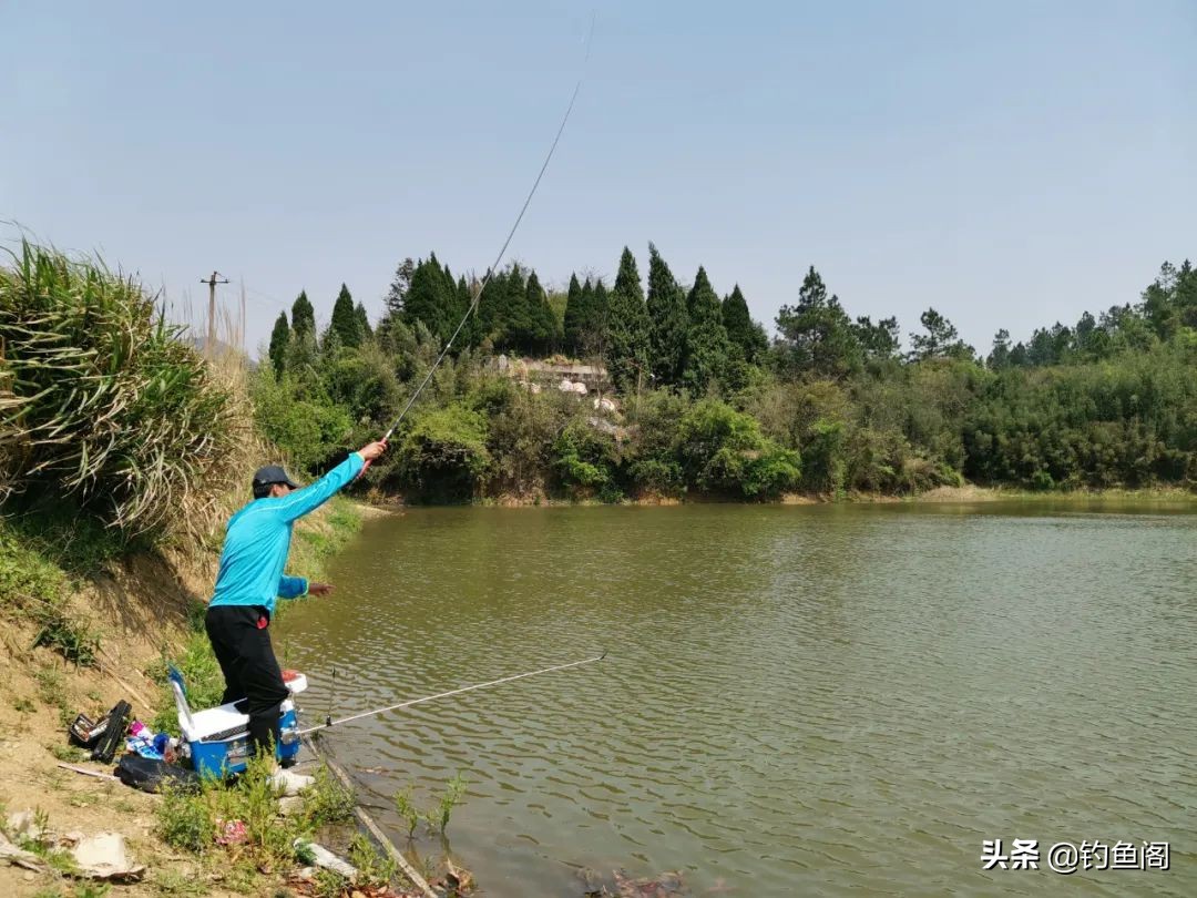 鱼没钓到还中暑了,天冷钓鱼鱼不咬钩怎么办