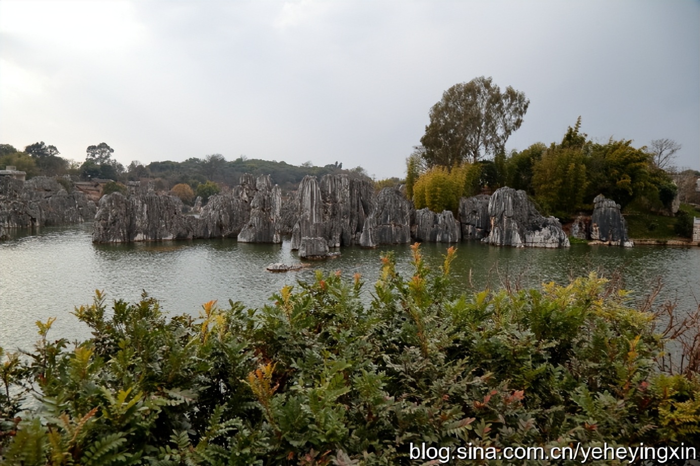 世界地质公园云南石林风景区,昆明石林国家地质公园