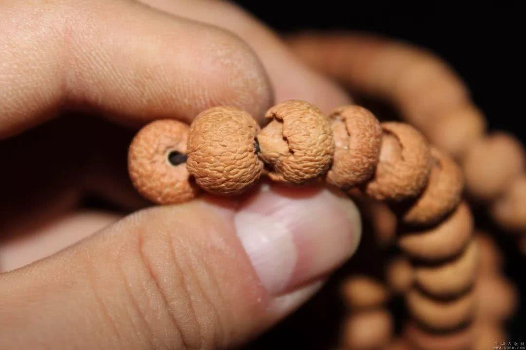 对不起大家，我来给莲花菩提洗白了！3分钟看完再骂我吧！