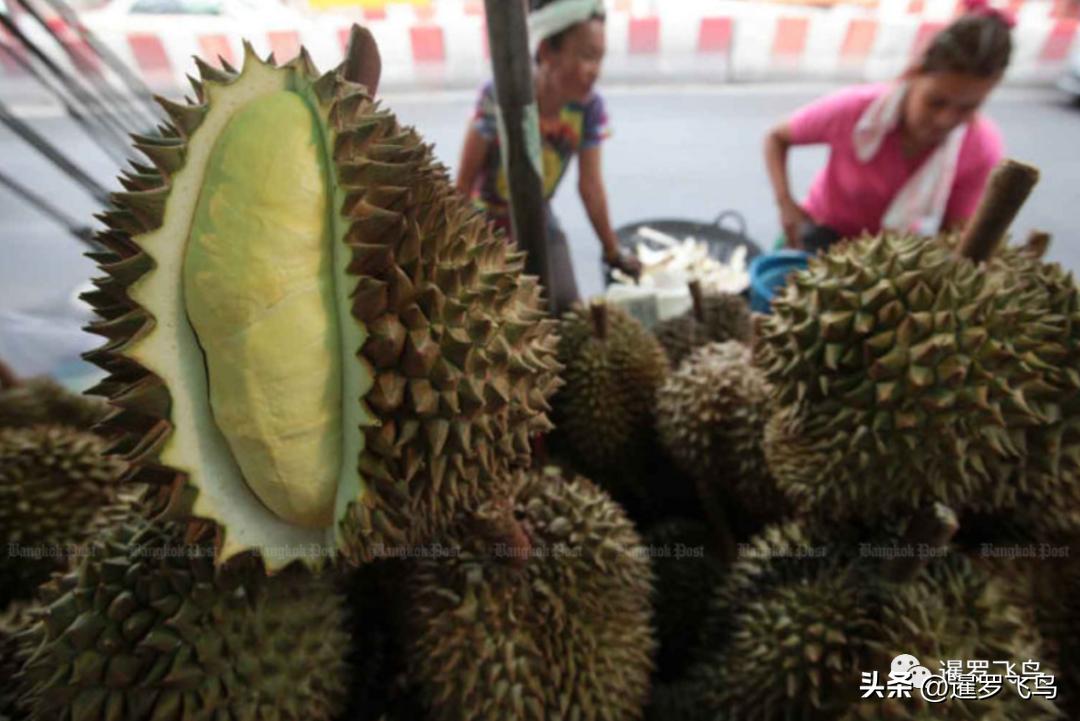 数据说话:中国人最爱泰国水果