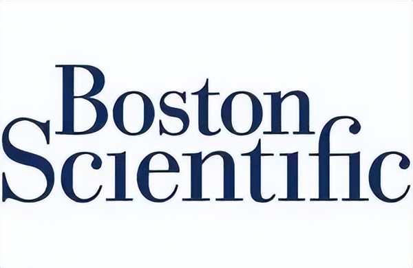 top10收入,薪资最高的10家公司