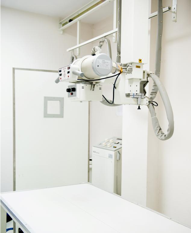 宫颈癌医生说不需要化疗,宫颈癌晚期不能手术肚子疼怎么办