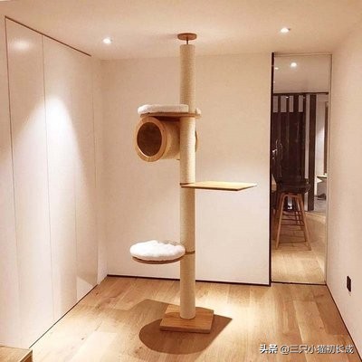 猫咪便秘开塞露塞不进去怎么办,猫咪便秘吃妈咪爱一般给猫吃几天