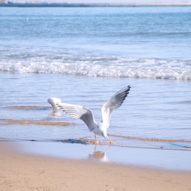 魅力中国之秦皇岛,大美中国之秦皇岛