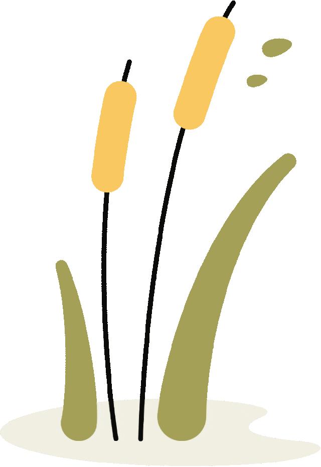 高考横空出世的防作弊神器“磁弹枪”，到底如何“出枪”？