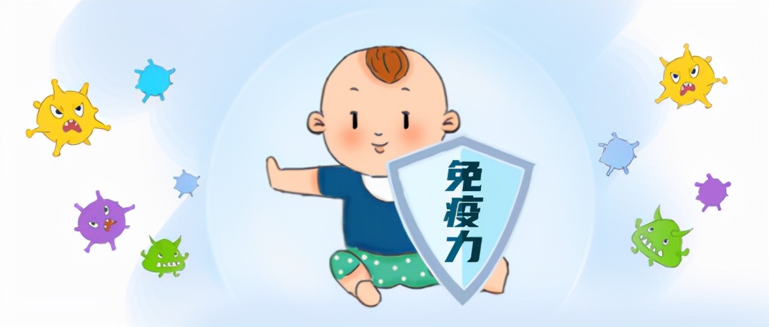 飞鹤圣元伊利摇篮哪一个奶粉好,圣元优博飞鹤伊利蒙牛