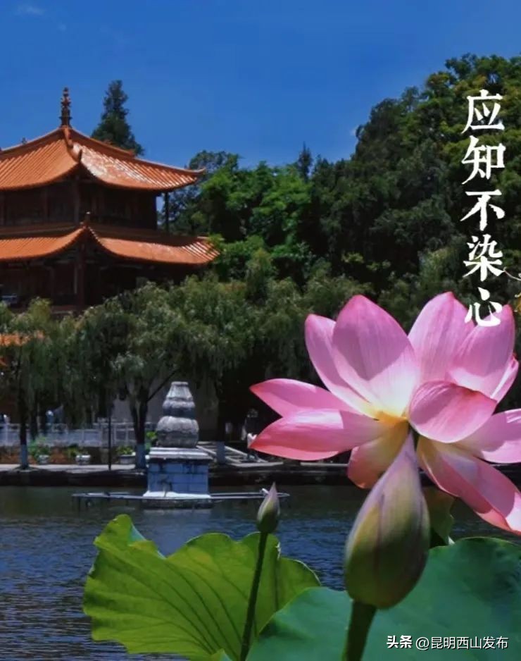 西山区多少度,西山海拔有多少米