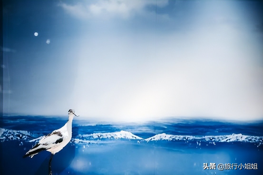 夏日海边浪漫迷人,滨城风光秀丽浪漫气息爆表