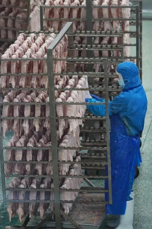 【解读中原粮仓的密码】媒体采访团走进河南华英农业股份有限公司