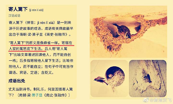 一个“顧”字告诉我们汉字有多美