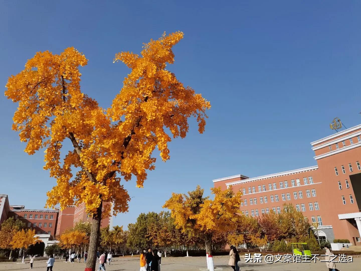 鍗佸叓澶╃殑闄即,158澶╃殑闄即