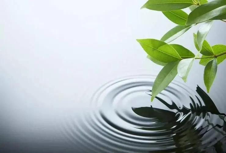 老婆儿子一同乘车丈夫摸邻座女子胸，被老婆狂扇耳光，色胆包天！