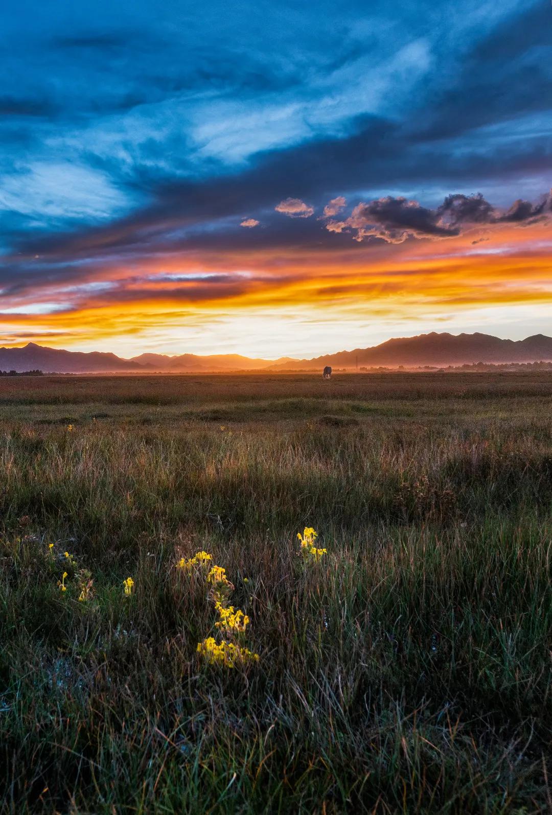 西北十大旅行攻略,西藏自驾游一日游攻略