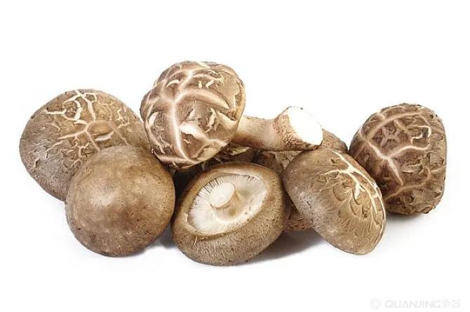 假如被辣椒辣到怎么办,手被辣椒辣到怎么办妙招姐