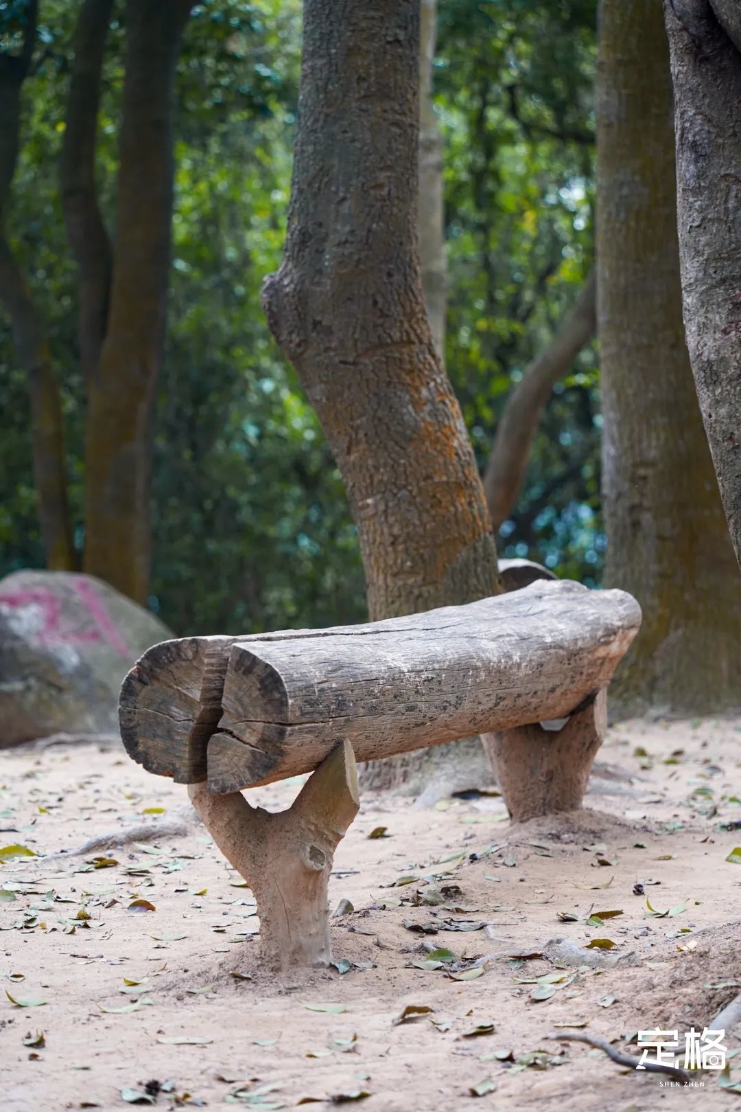 深圳10个小众打卡地免费游玩,深圳十大免费打卡地