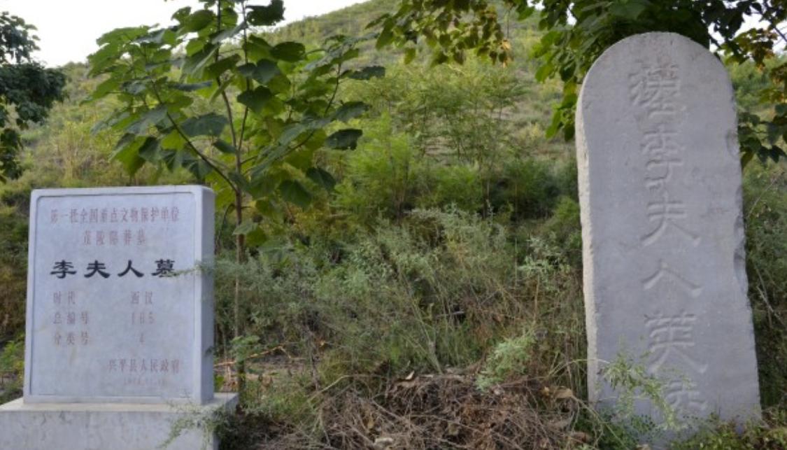 茂陵宝物,汉武帝茂陵都有谁的墓