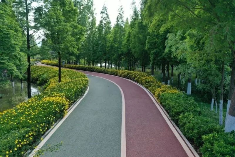 迈开脚步看风景别辜负昆明好风光,带你看云南昆明美景