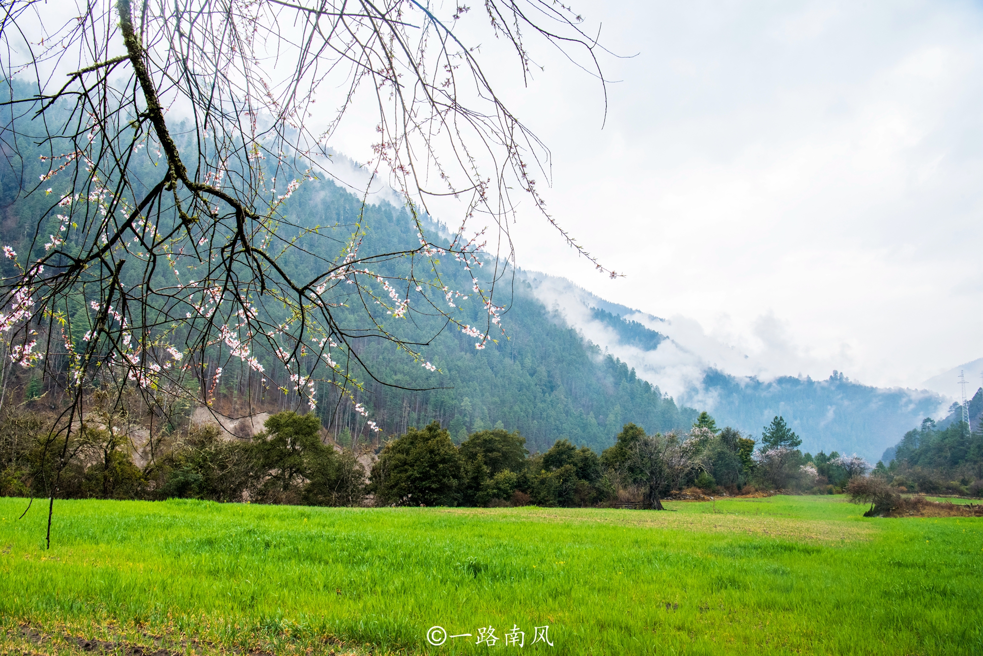 林芝美丽的城市,西藏林芝城市风景