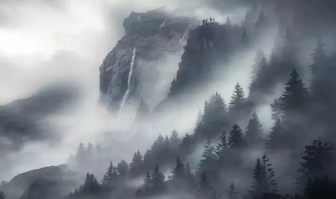 学习优秀摄影作品,摄影教学作品欣赏