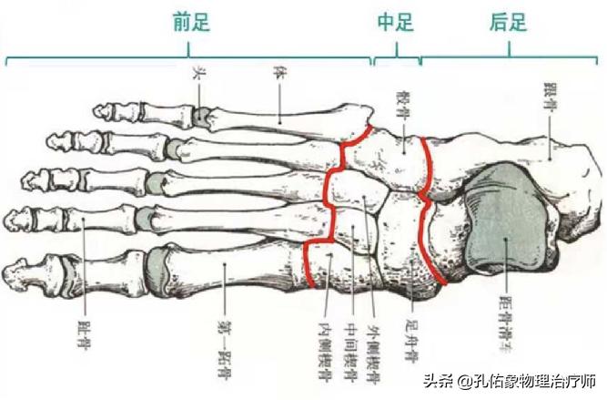 中老年人脚底痛是什么原因,老人脚底板好疼是什么原因