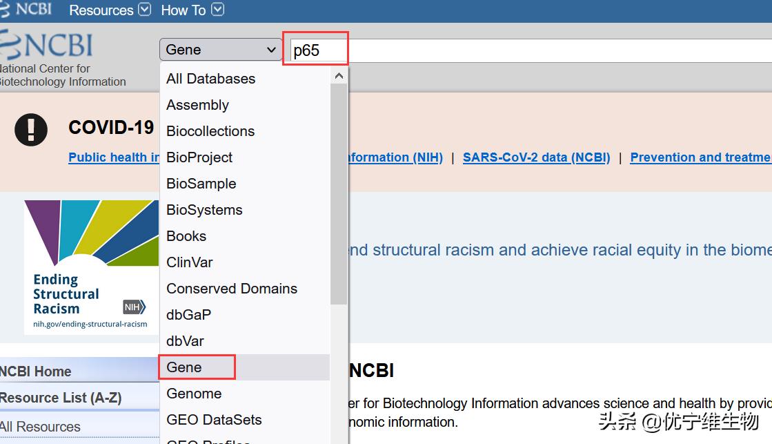 真核原核生物细胞壁,真核生物标记基因