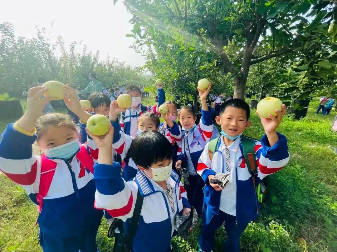 什么是好的教育,心目中的美好教育是什么样子的