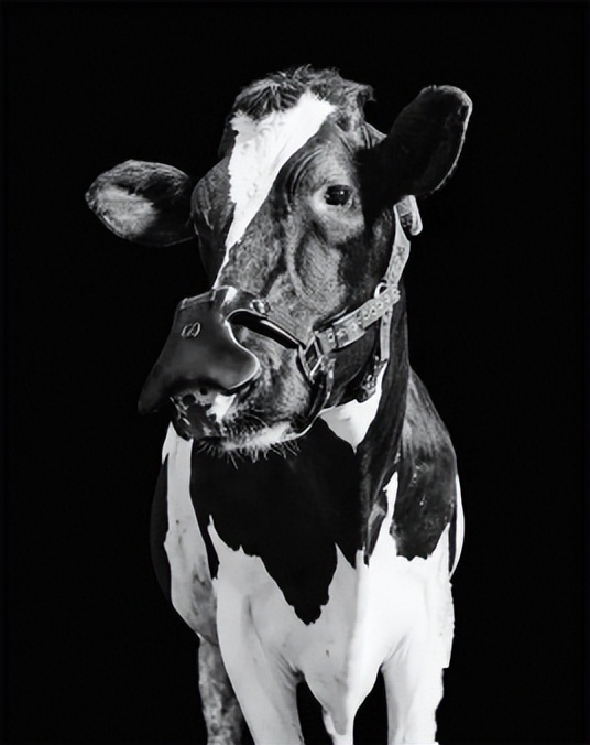 2023高中地理会考模拟试卷,2023高二地理模拟会考试卷