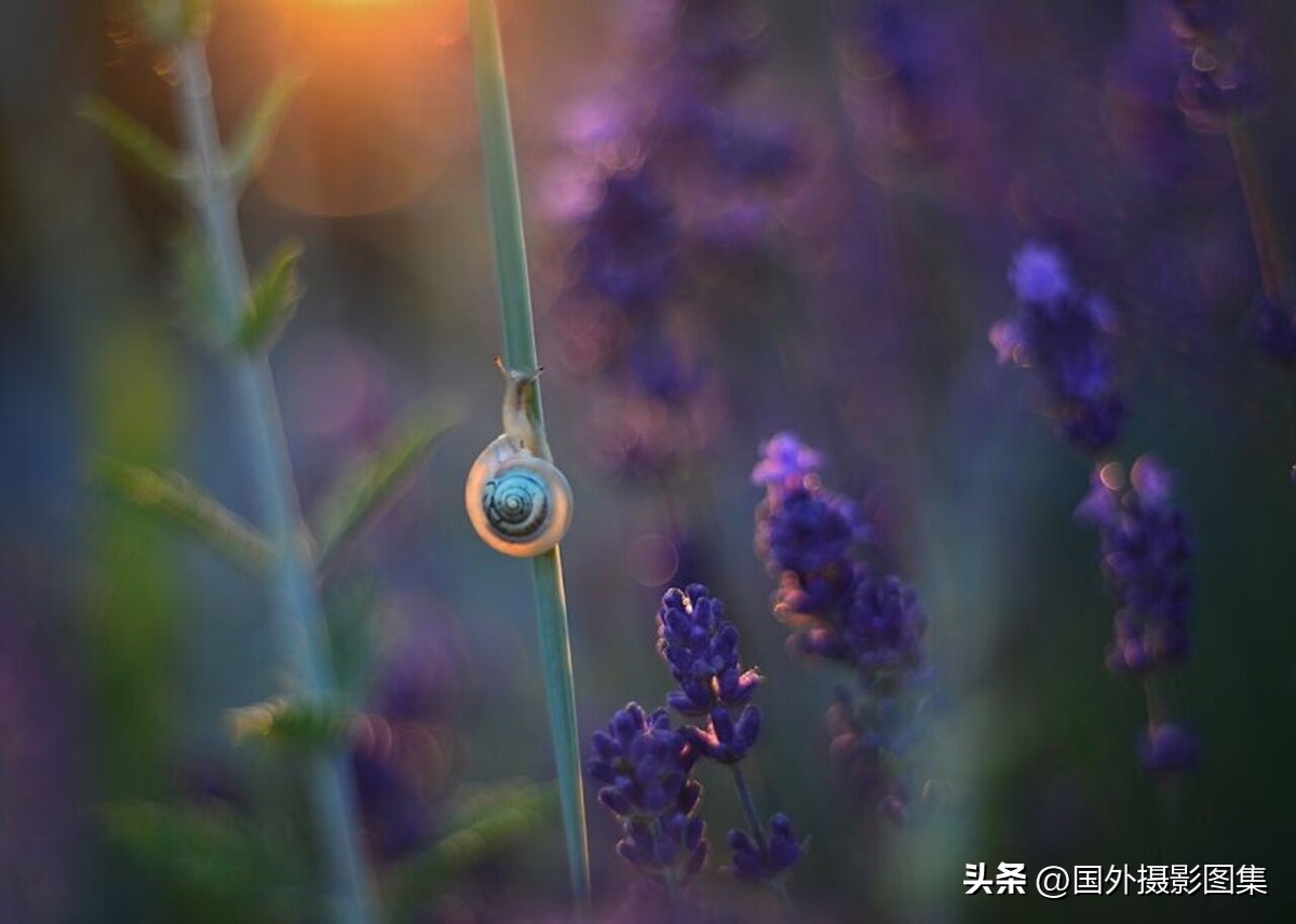 秋天最美大自然图片,春天最美的三十六张照片