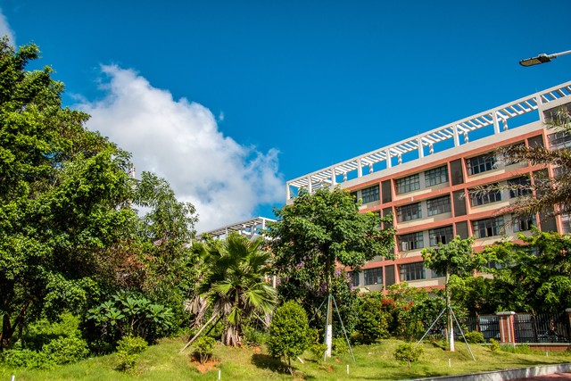 职高和技校对于参加高考有啥区别,职高和技校区别在哪里